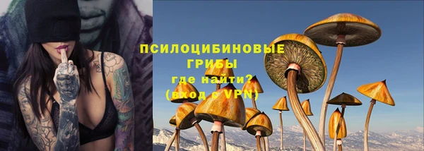 меф Белокуриха