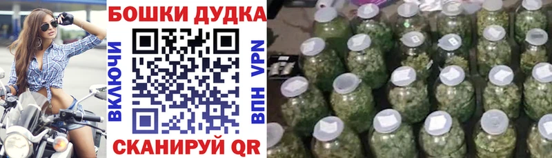 Конопля сатива  Бородино 